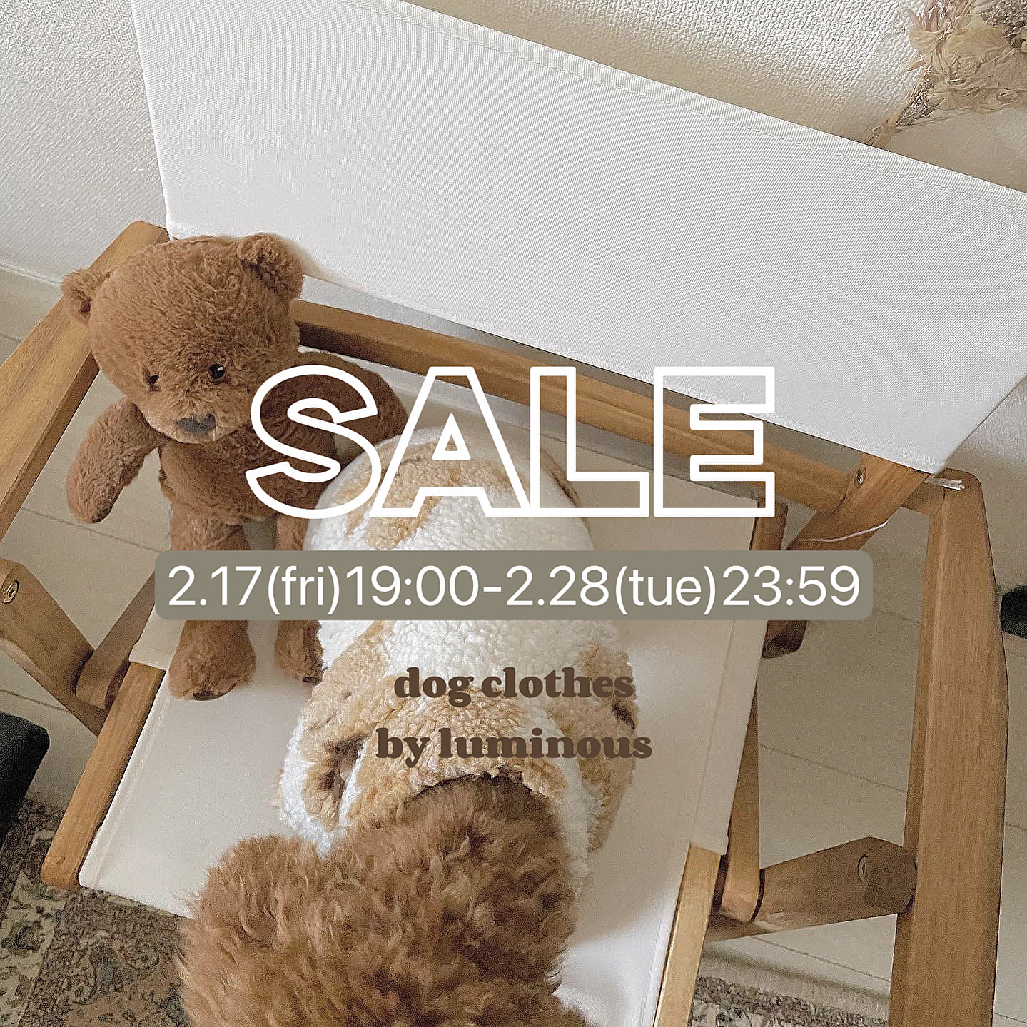 winter☃️SALE