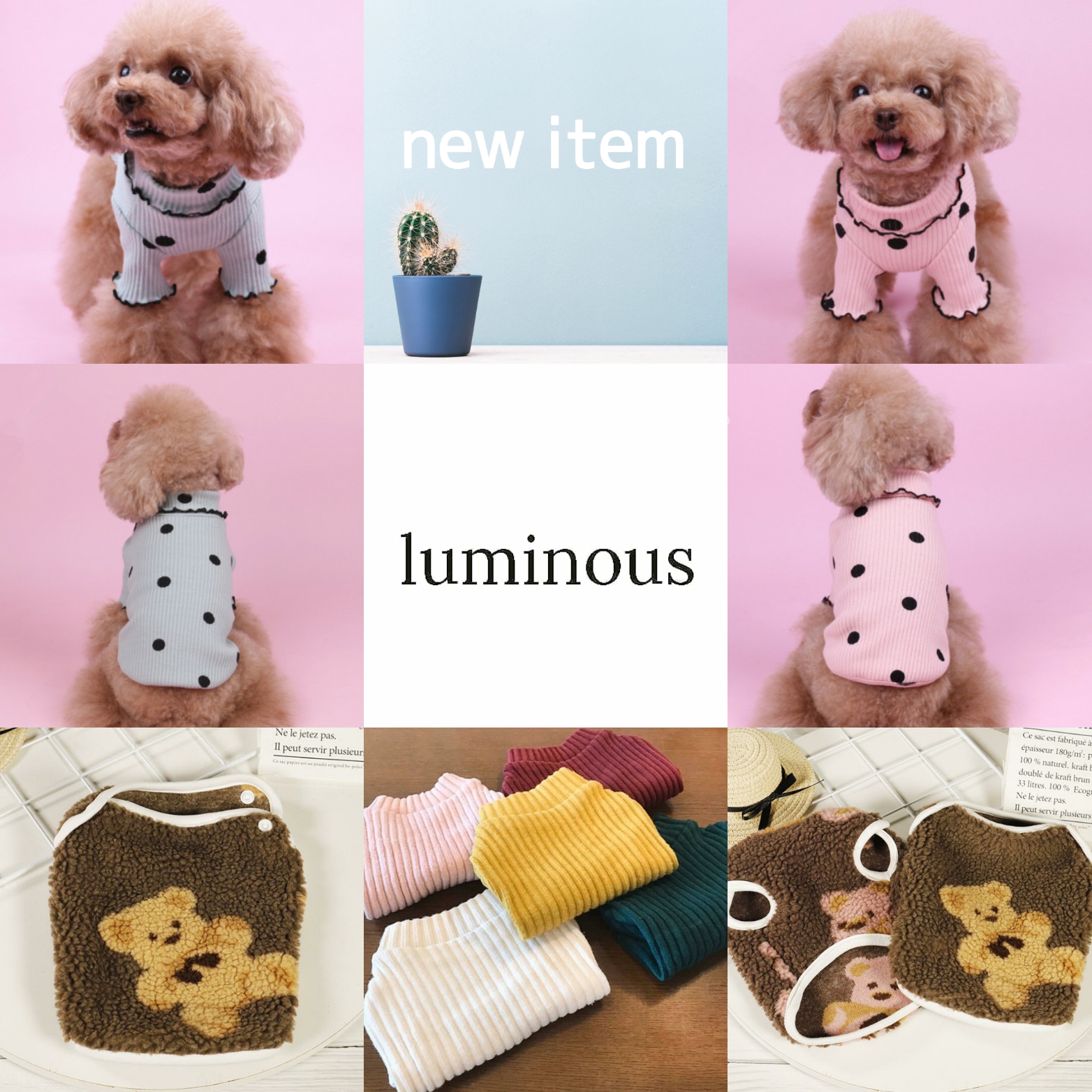 ⚠️予約・入荷予定商品について