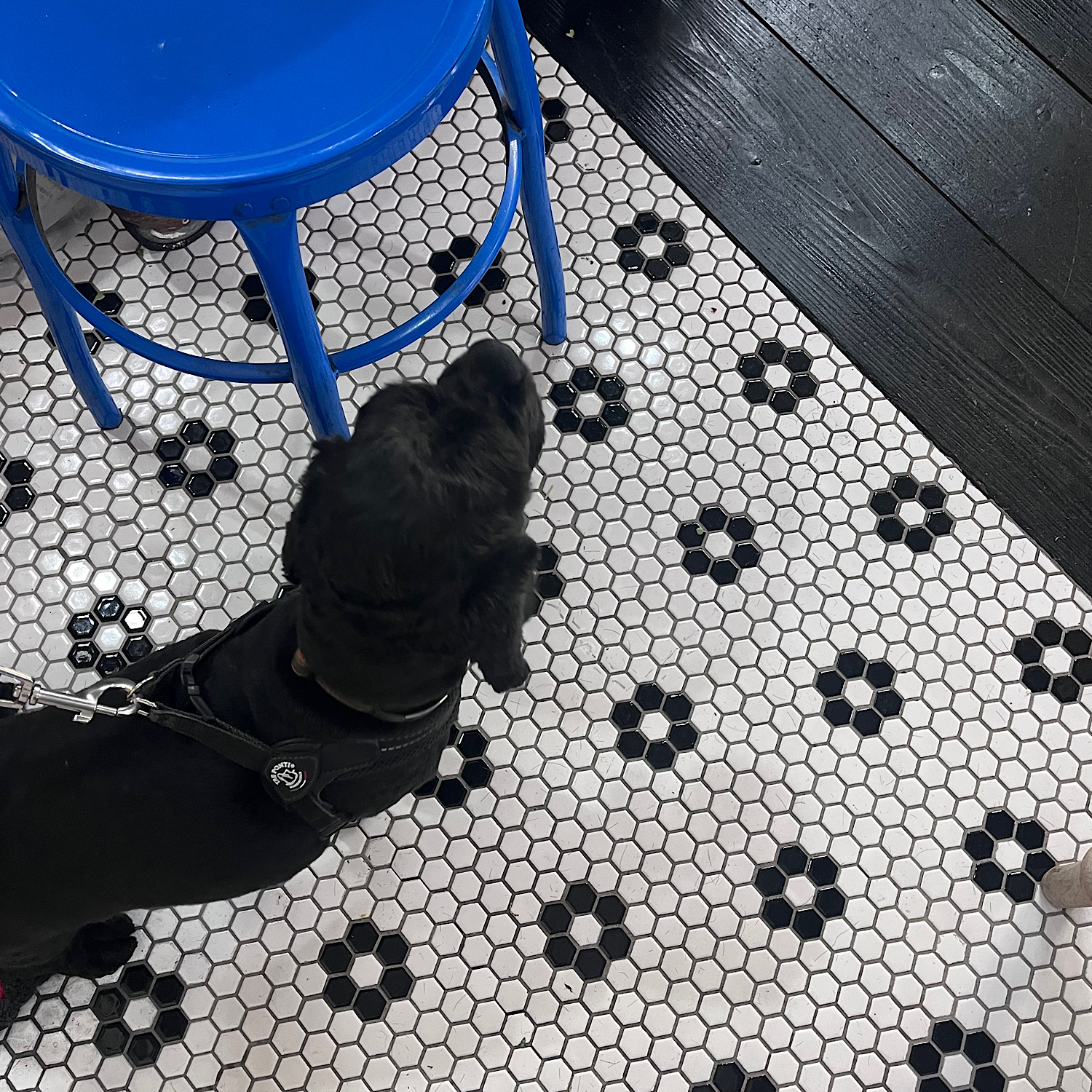 BARBERMARKET 出店のはなし