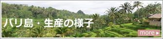 製品ができるまで made in BALI