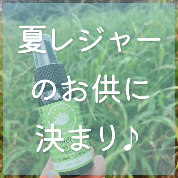 『夏レジャーのお供に決まり♪』