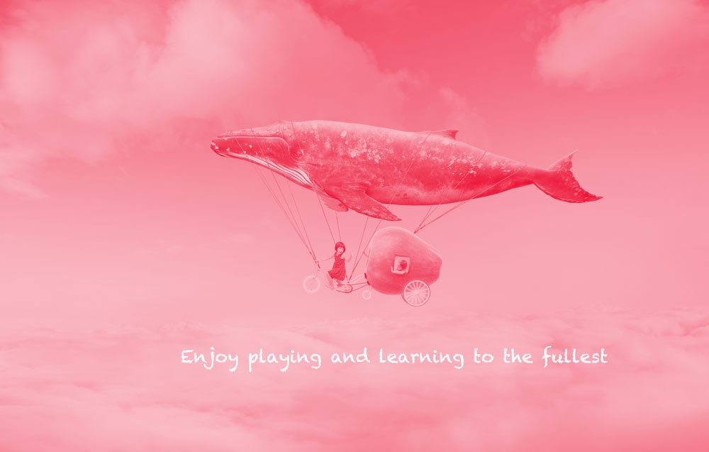 learning and sophia
