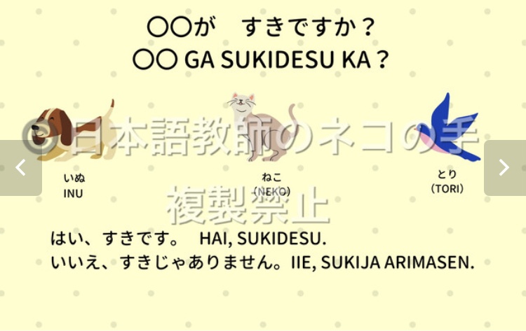 「～する(動詞の辞書形)ことが好きです」