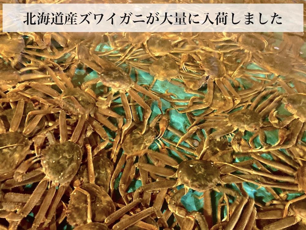 北海道産ズワイガニ大量入荷いたしました。