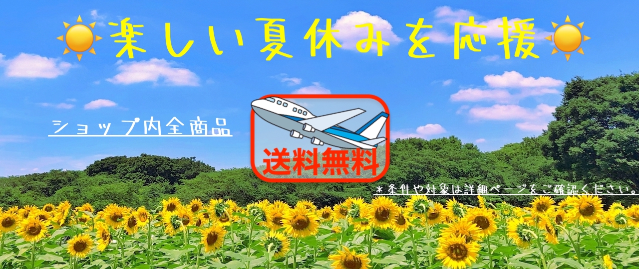 ☀️楽しい夏休みを応援☀️全国どこでも【送料無料】キャンペーン開催中