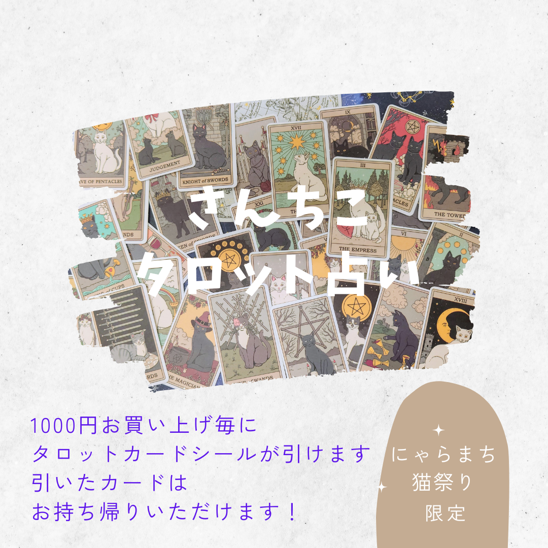 【店頭のみ】にゃらまち猫祭り期間中、さんちこタロット占い開催！