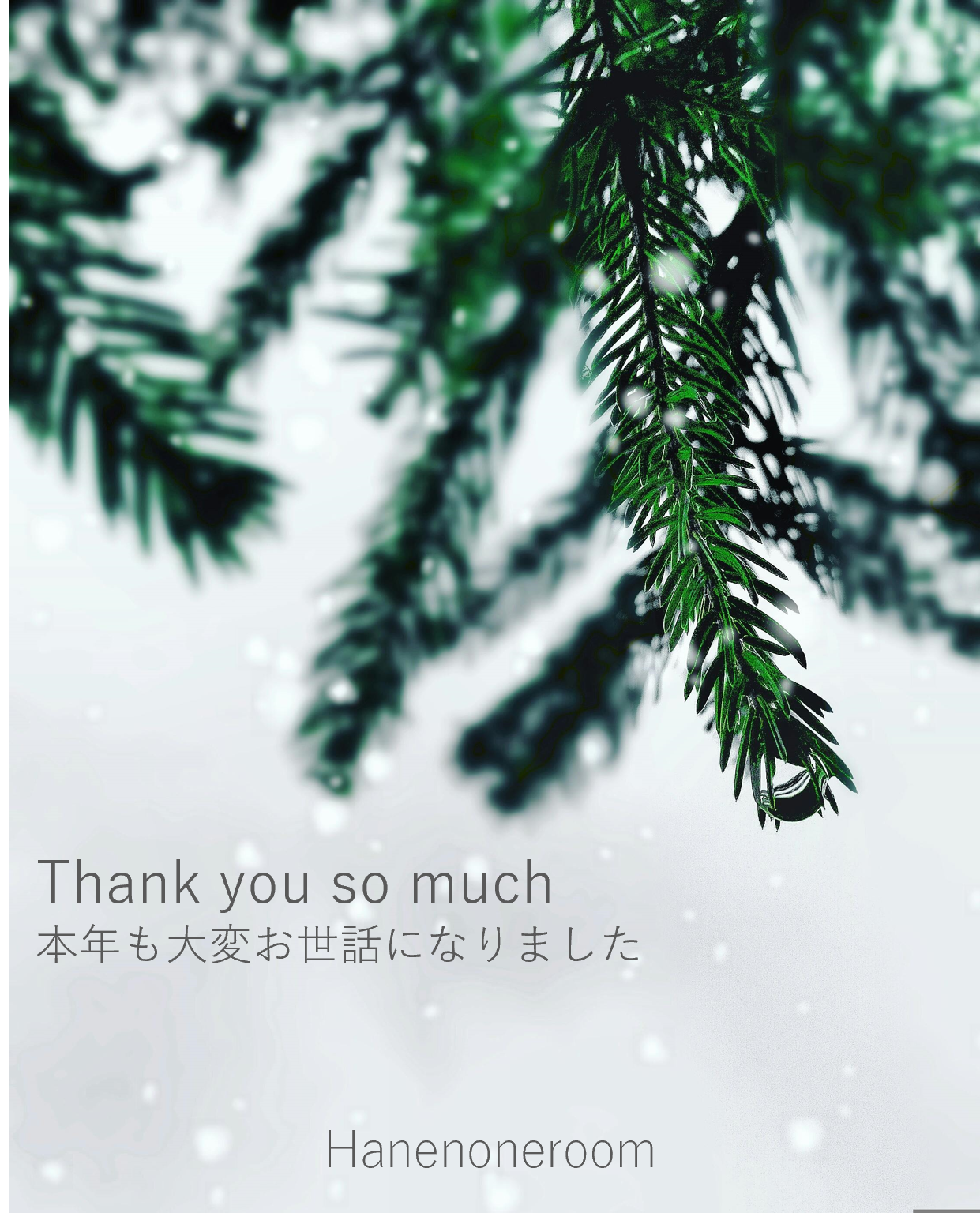 本年も誠にありがとうございました✨