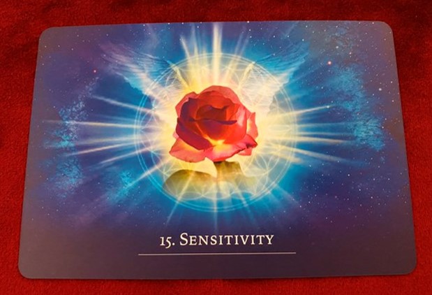 15.Sensitivity/The Secret Language of Light Oracle