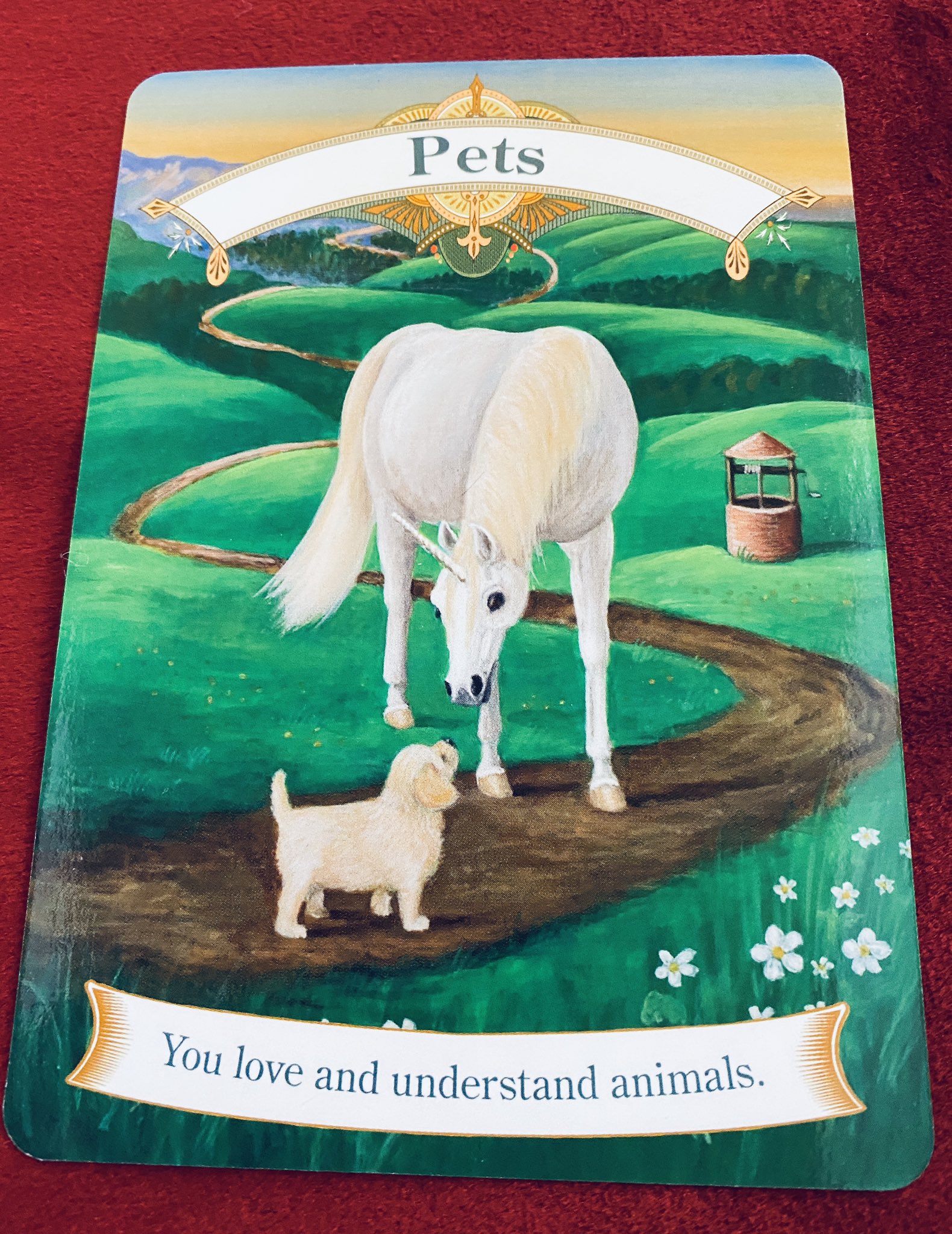 Pets / ユニコーンオラクルカード