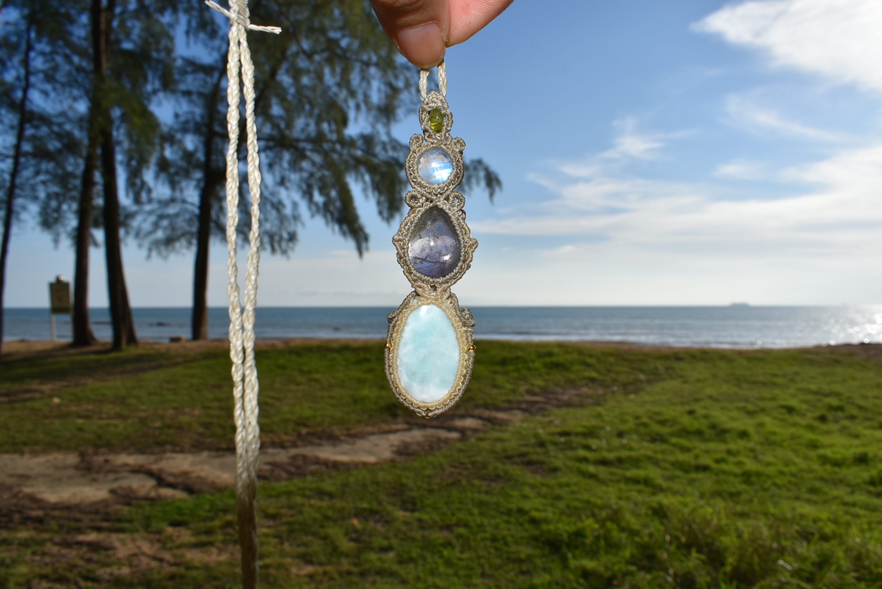 気持ち良く晴れてます。