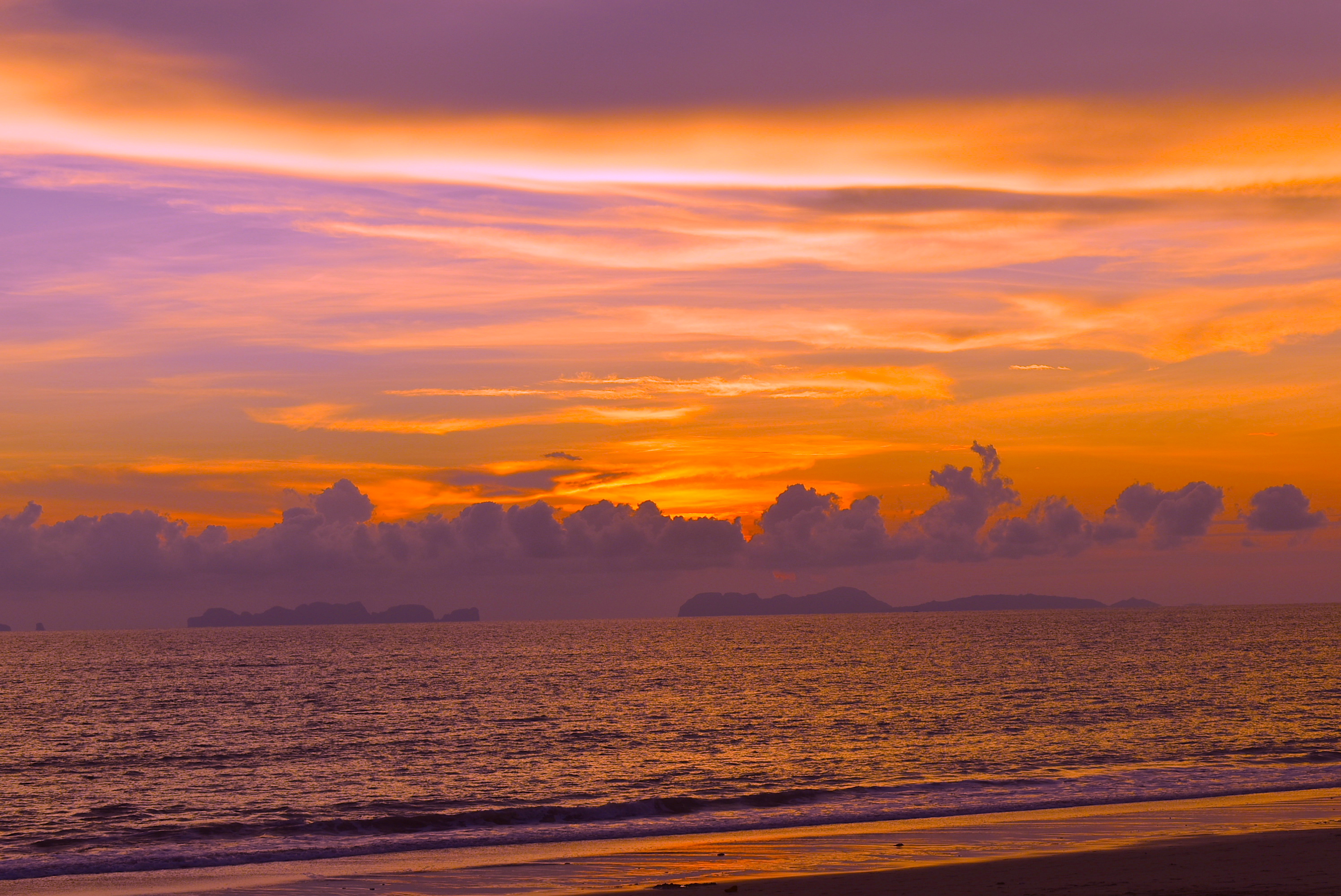 7月7日七夕祭りセール全品20%OFF本日から始まります!!