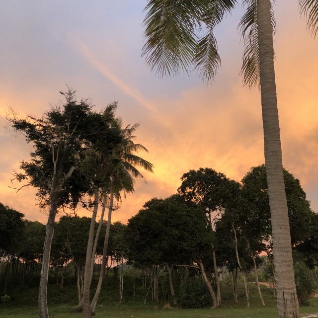 仕入れに行ってきますので発送作業が遅れます