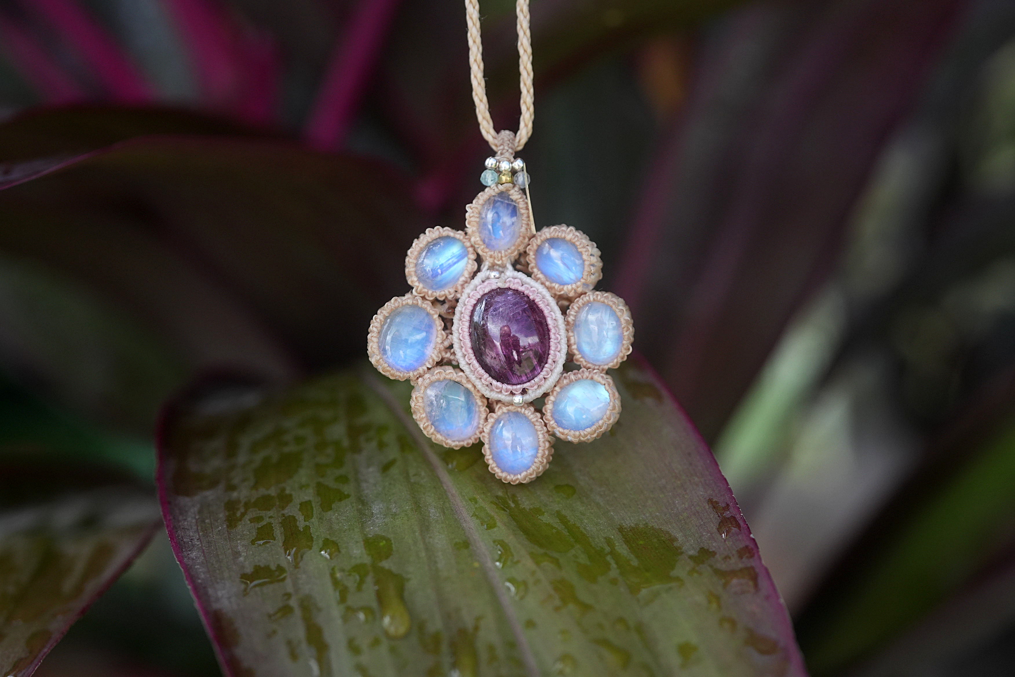 5月はじめての新作。