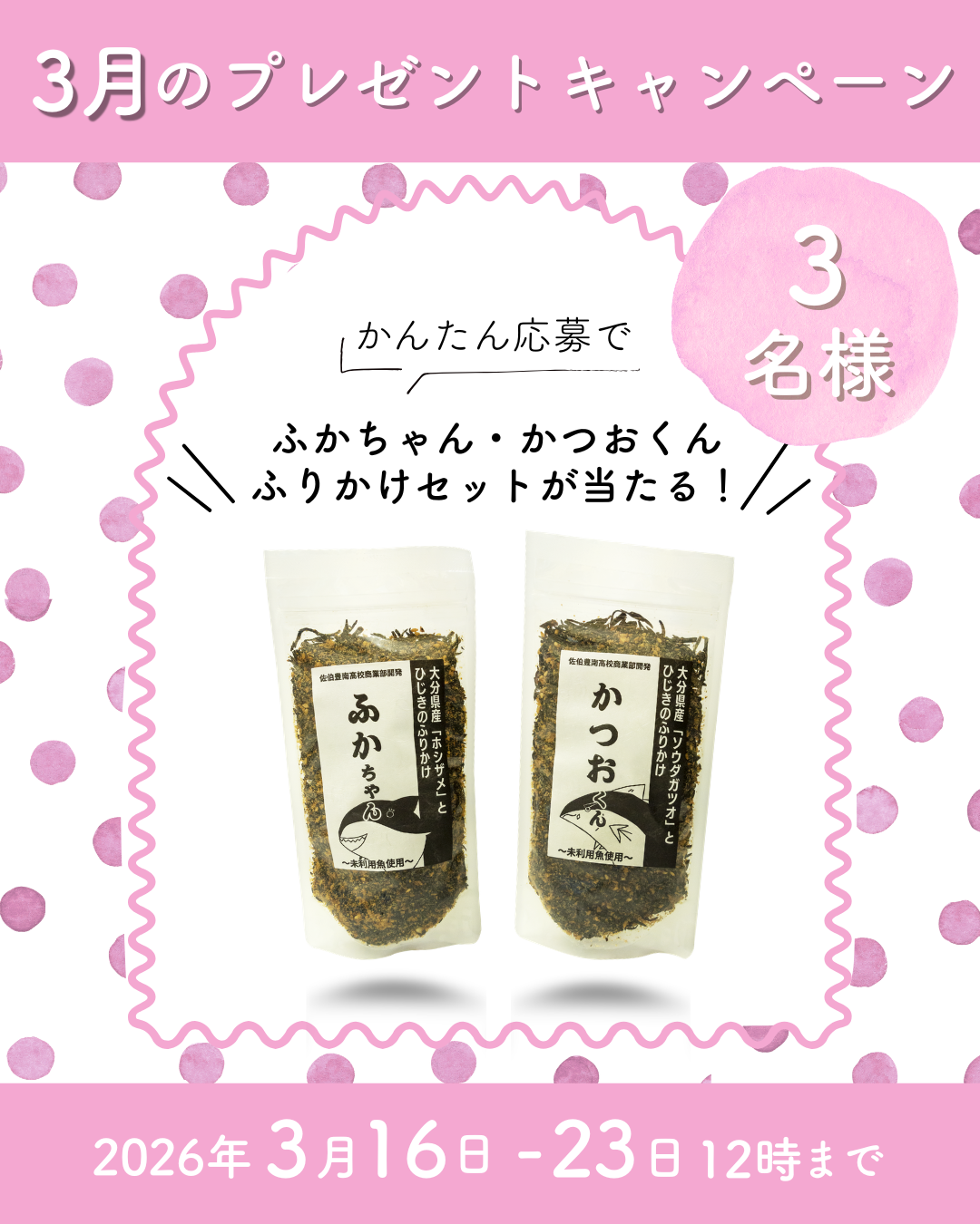 🎎3月のプレゼントキャンペーン開催中🎎【Instagram内】