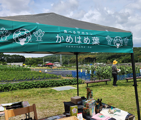 「カメマルシェ」に参加しました！