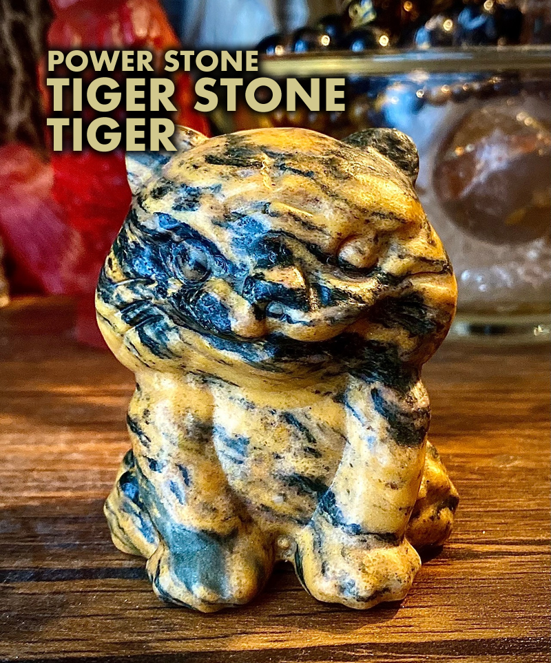 探し物・・・
