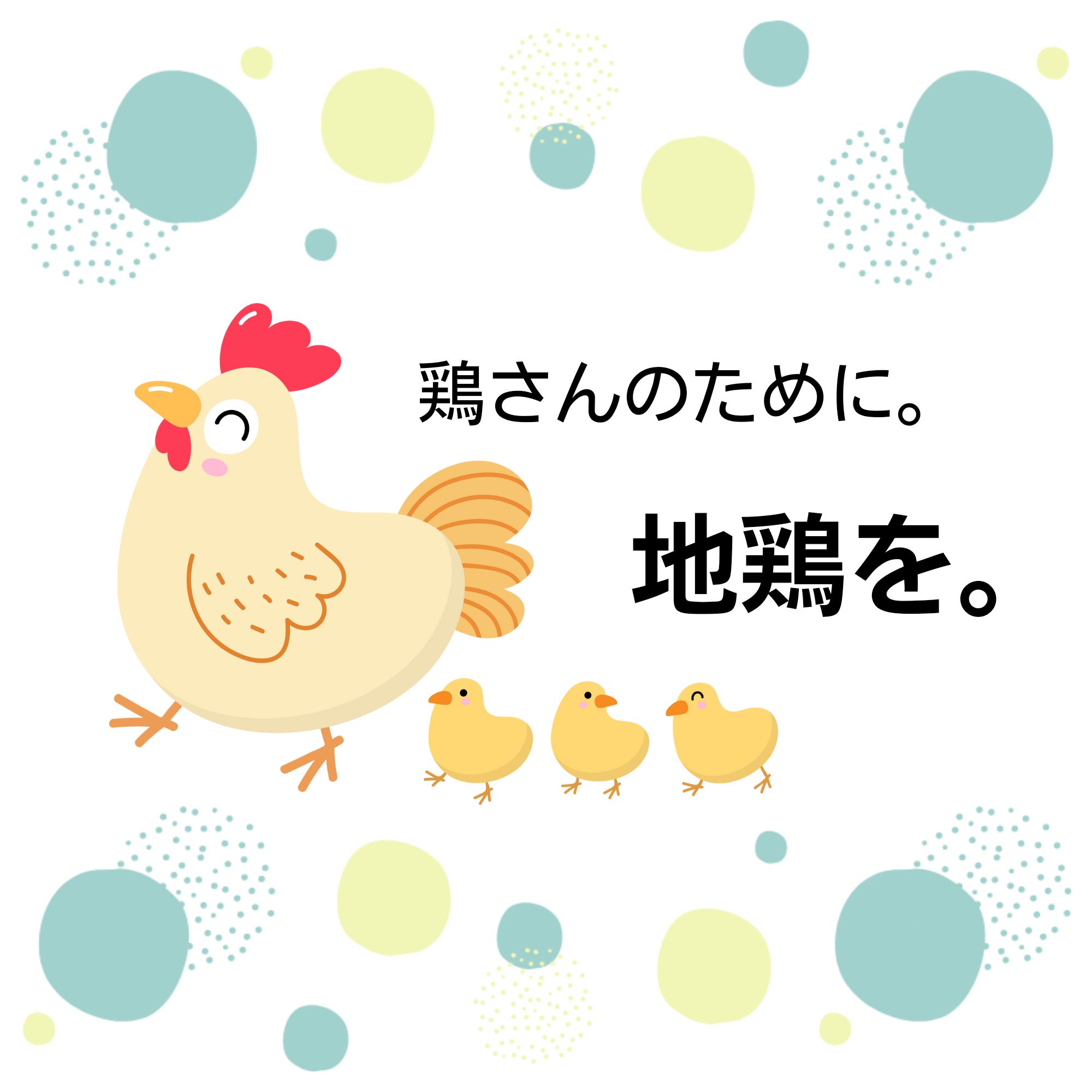 「鶏さんのためにも地鶏を！その理由と魅力をご紹介」