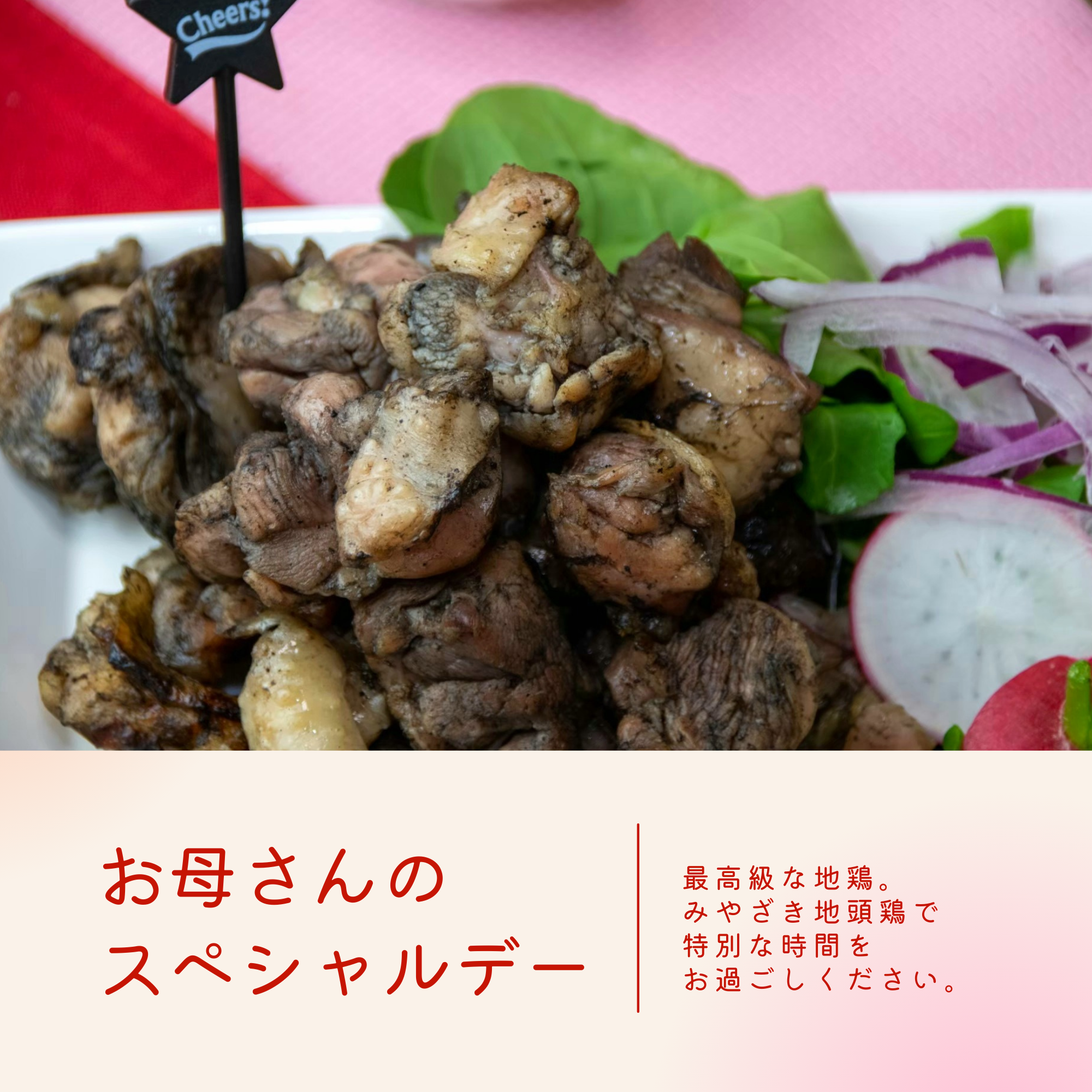 簡単！ウマい！やみつき！地鶏最高「じとっこ母の日ギフト」