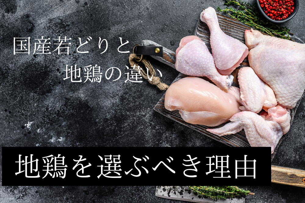 地鶏の魅力と国産若どりとの違いーなぜ地鶏を選ぶべきなのかー