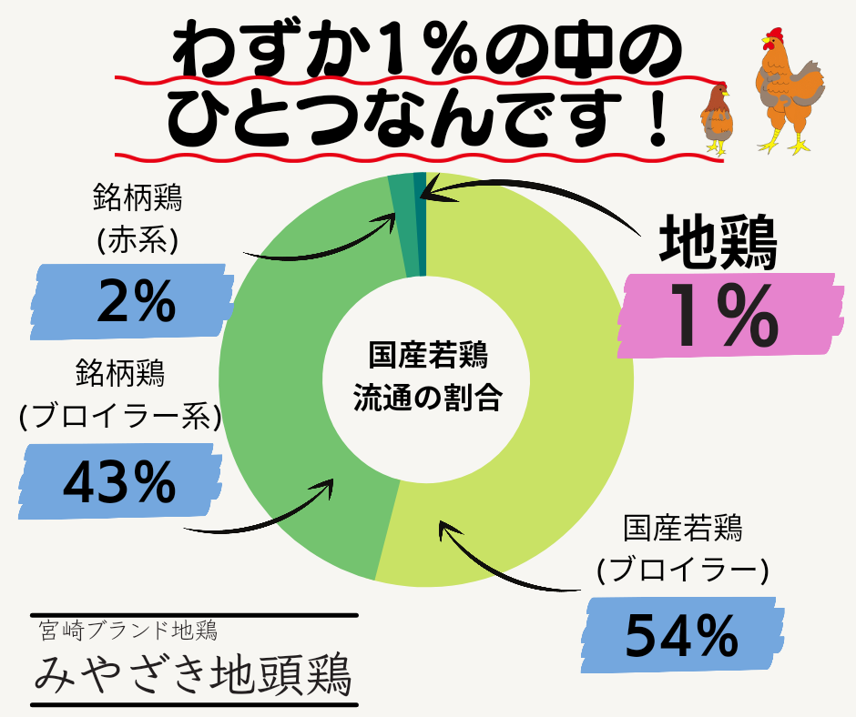 わたしがみやざき地頭鶏(じとっこ)を選ぶ理由は。