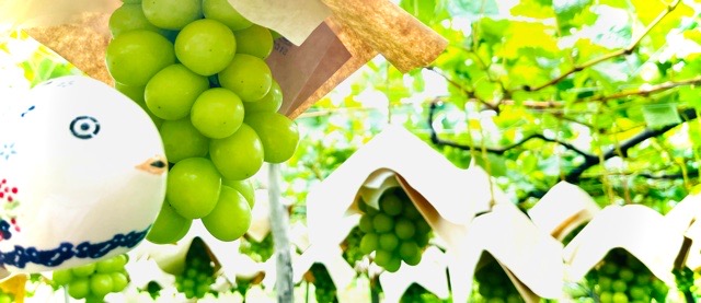 新入荷のお知らせ