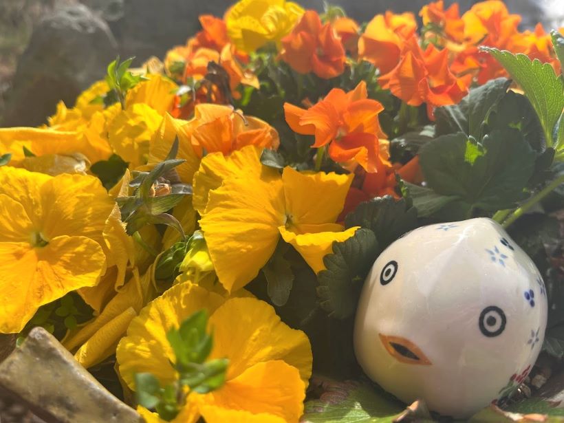 送料変更のお知らせ