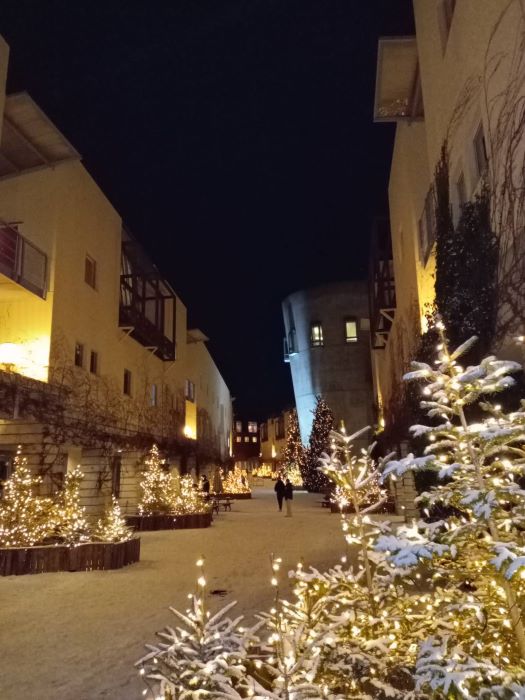 ご無沙汰してます&2月朝市につきまして