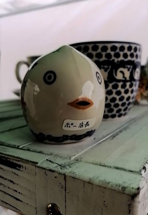 かつぬま朝市行ってきました&メーズ