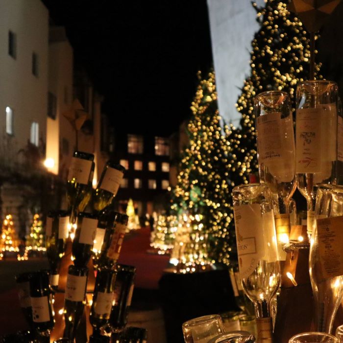 マヌ新入荷&クリスマスイルミネーション