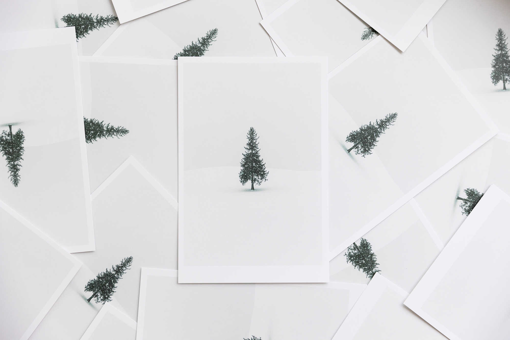 2026年1月18日まで拓真館からささやかな冬の贈り物キャンペーン