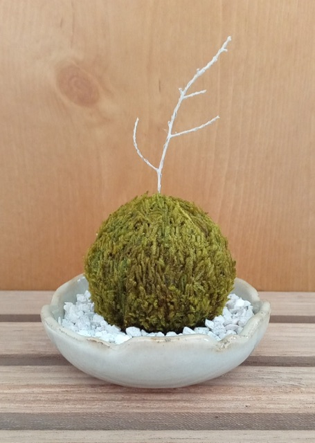 プリザーブド苔玉
