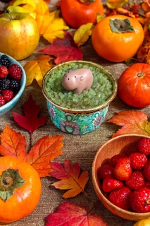 プリザーブド苔