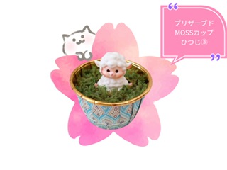 プリザーブド苔