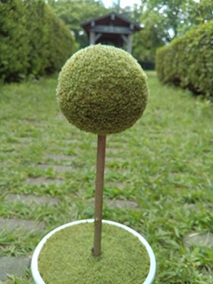 小さな緑から、地球を想う