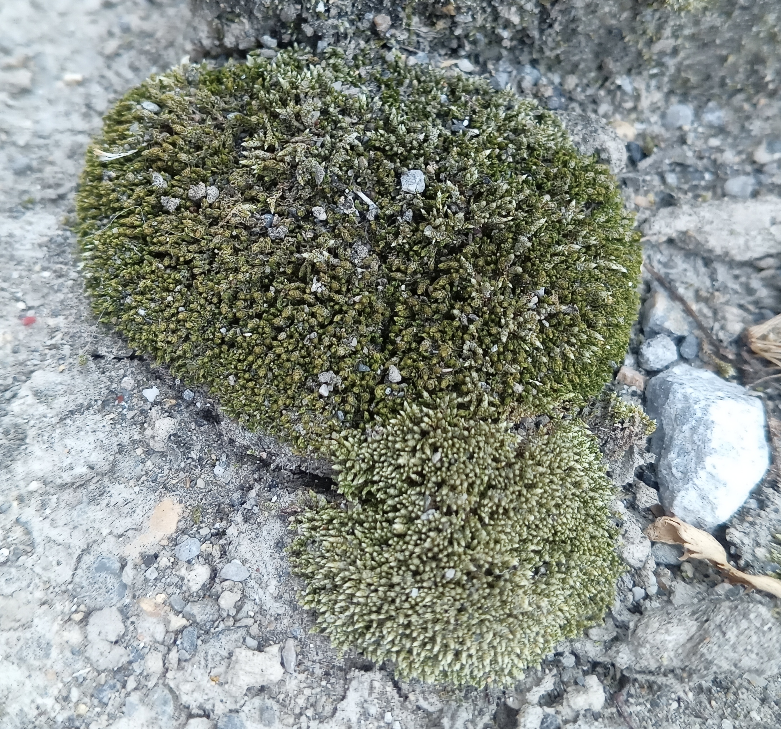 フィールドワーク