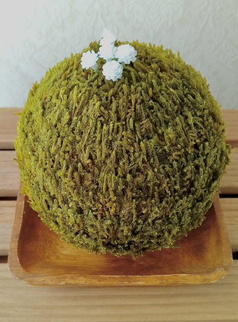 プリザーブド苔