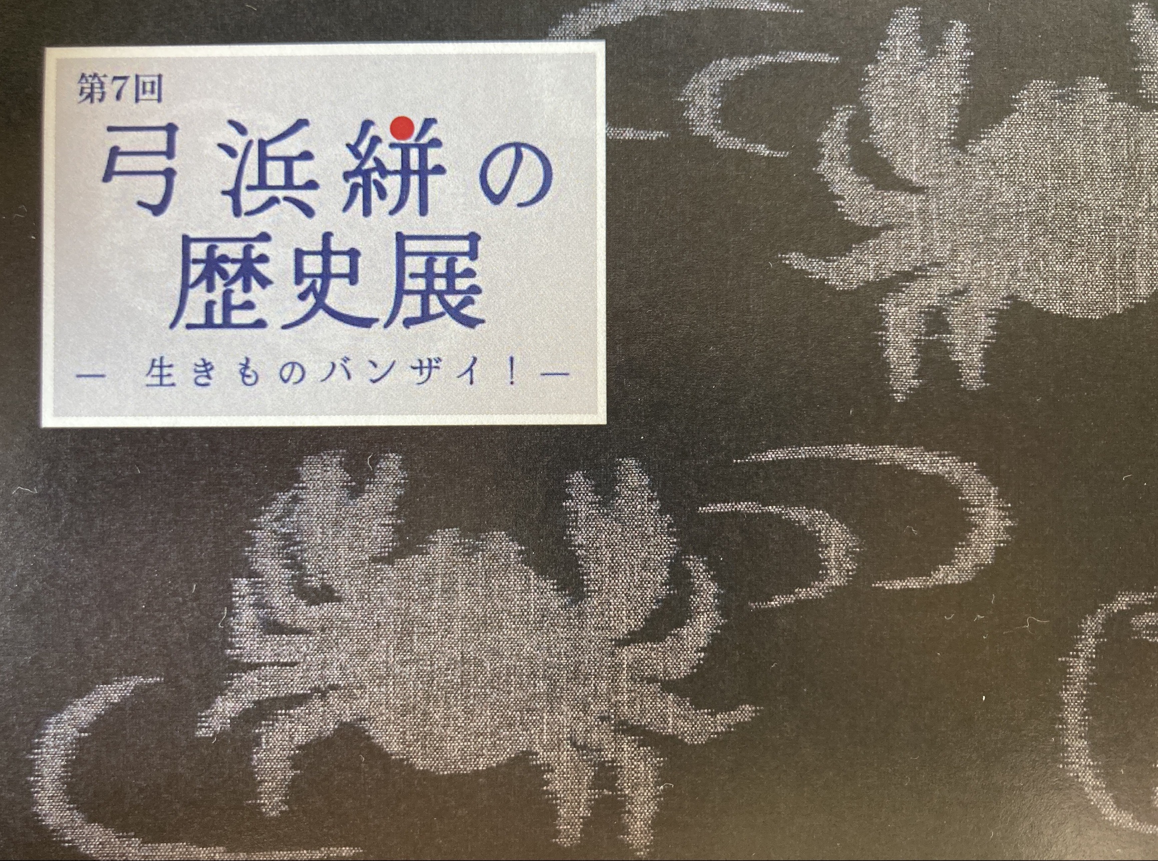 （出展）弓浜絣の歴史展＠JU米子髙島屋