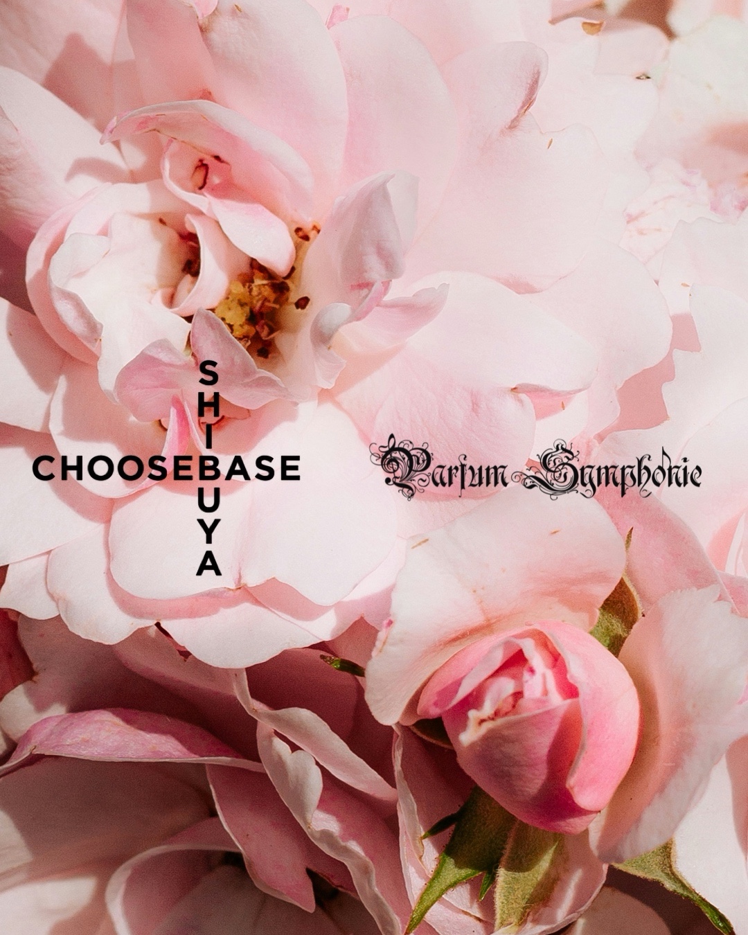 POP UP in CHOOSEBASE SHIBUYA