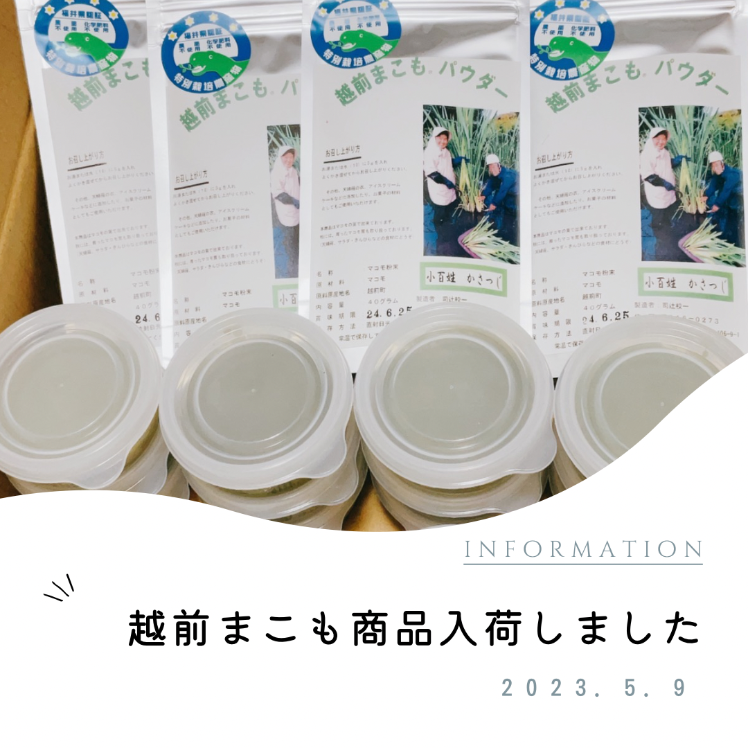 【入荷情報】妊活・妊婦さんへもオススメです！【葉酸】