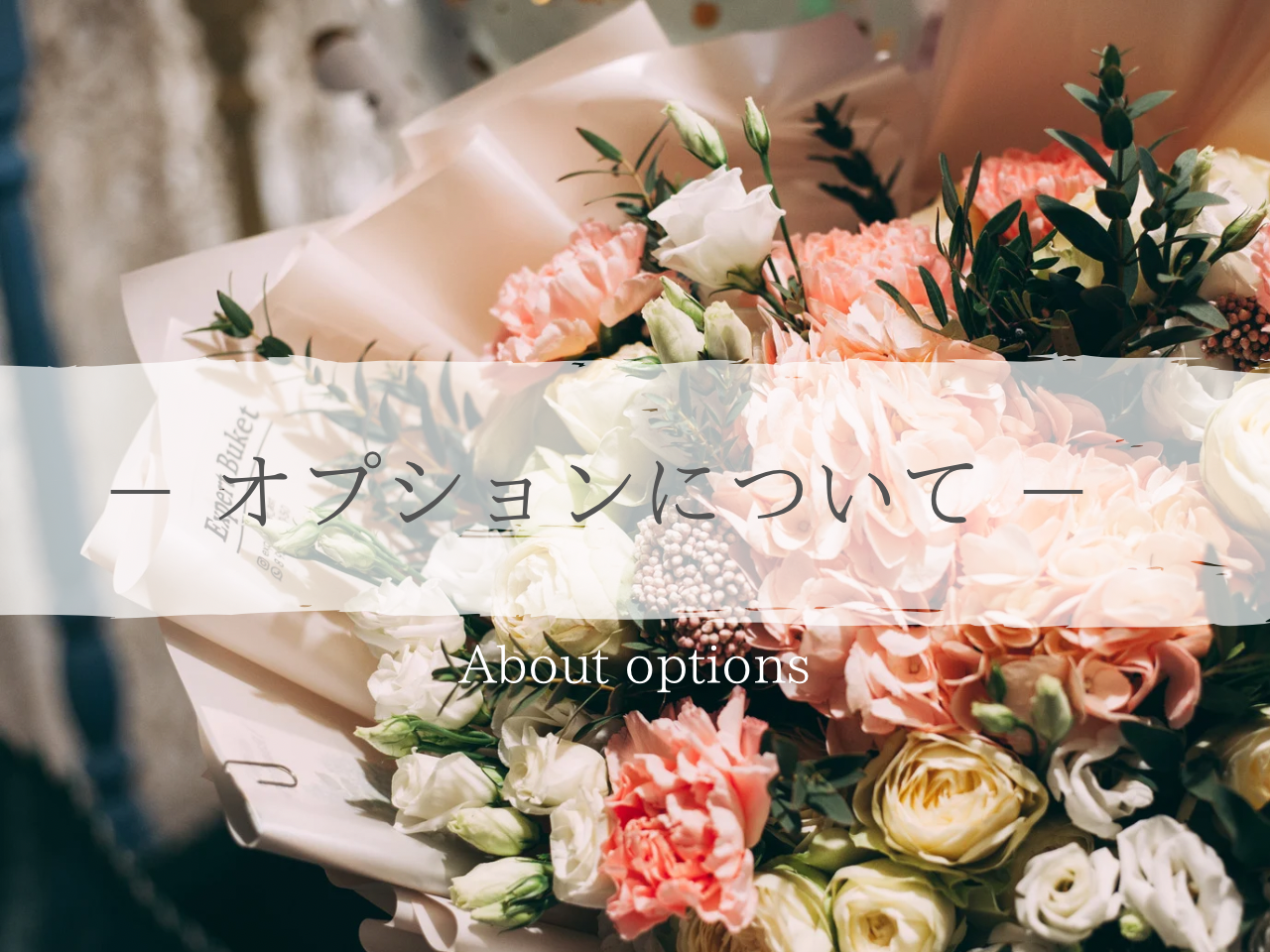 オプションについて