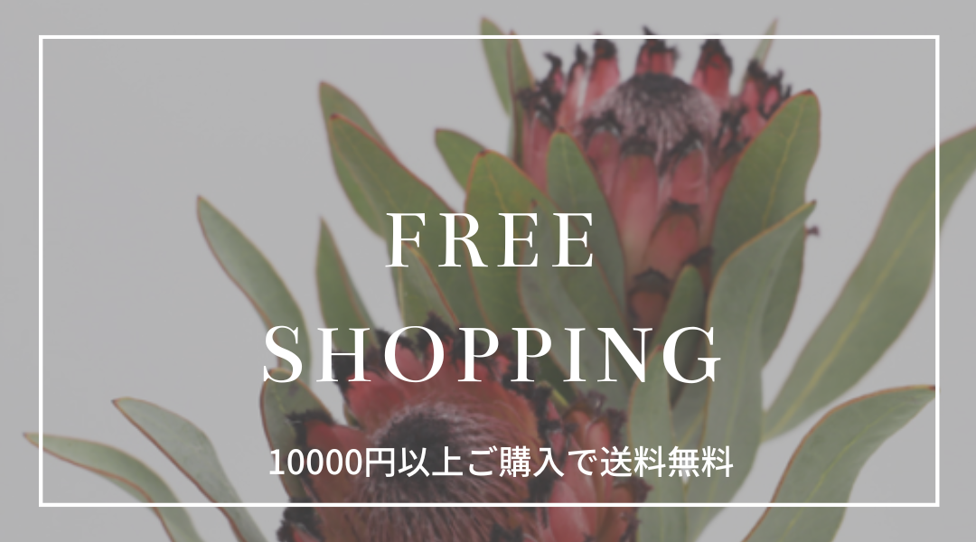 10000円以上のご購入で送料無料。