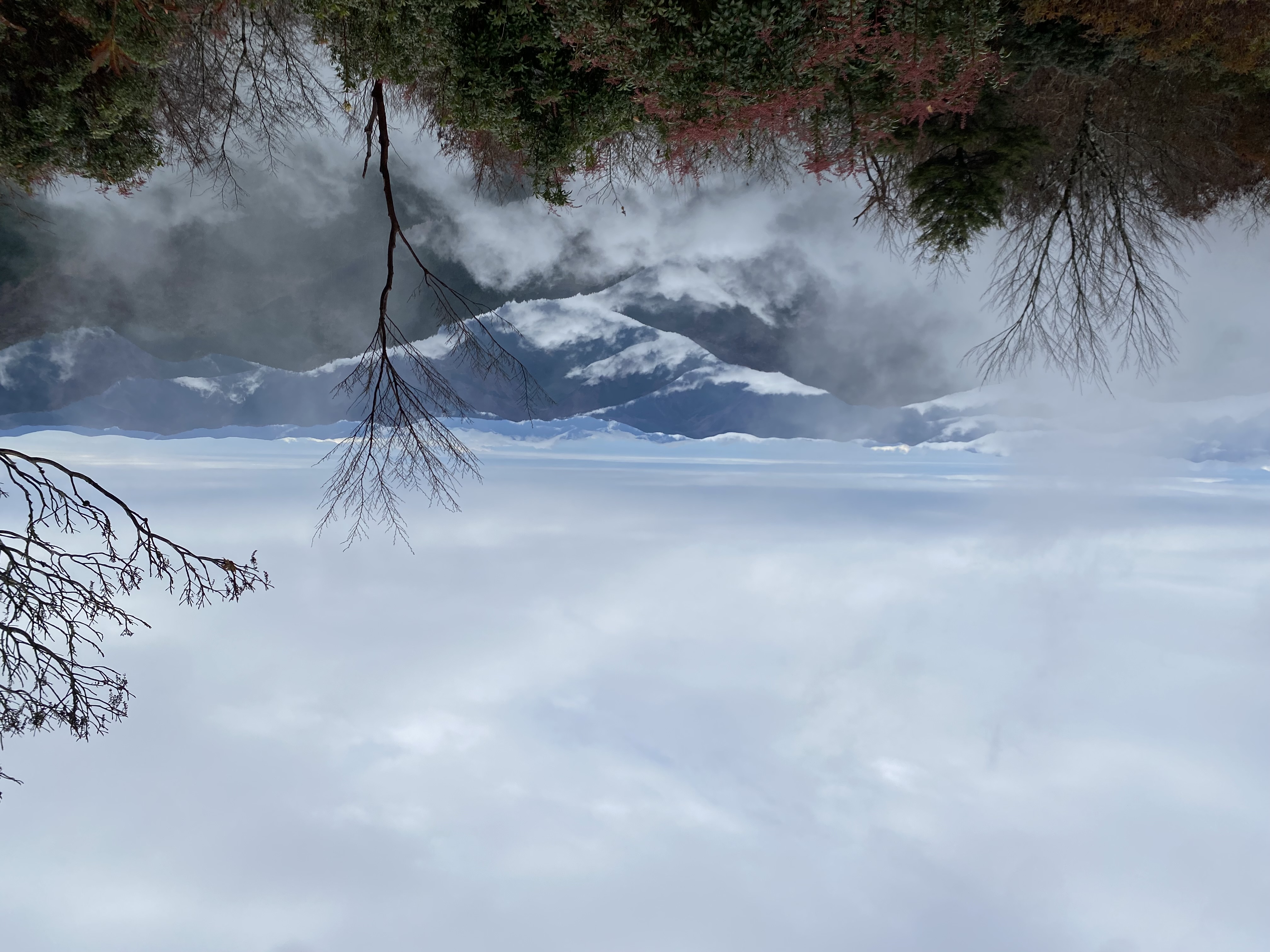 プレイバック 5th week of November