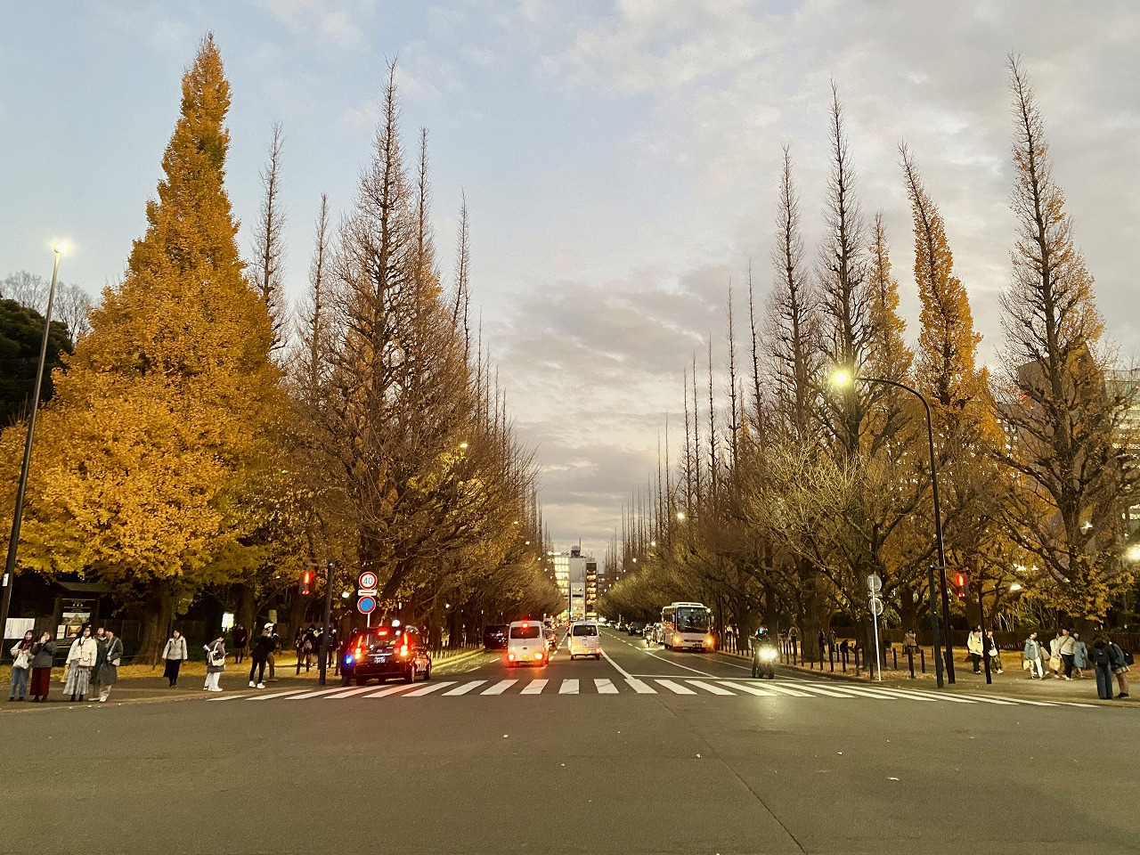 プレイバック 2nd week of December