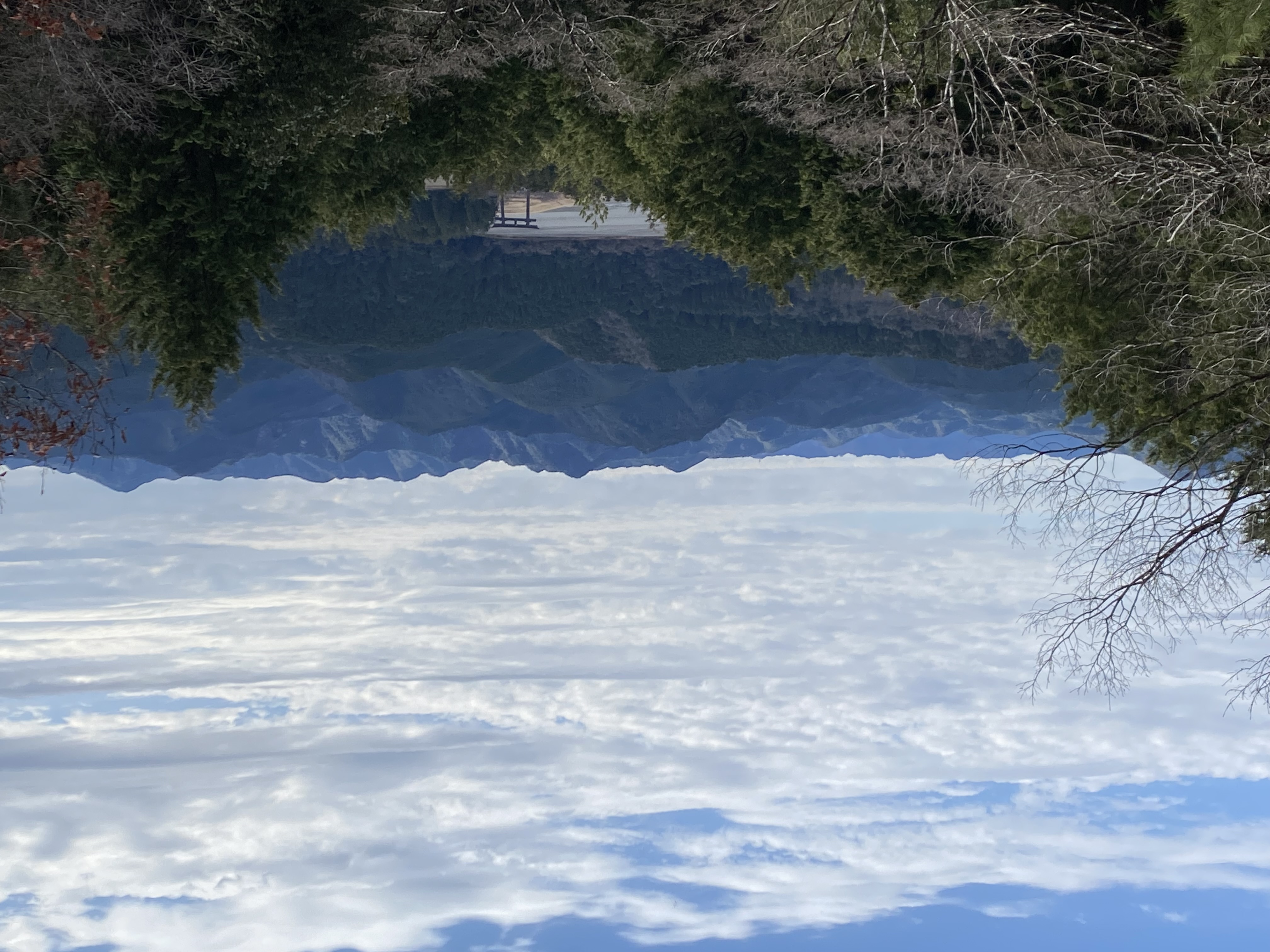 プレイバック 4th week of January