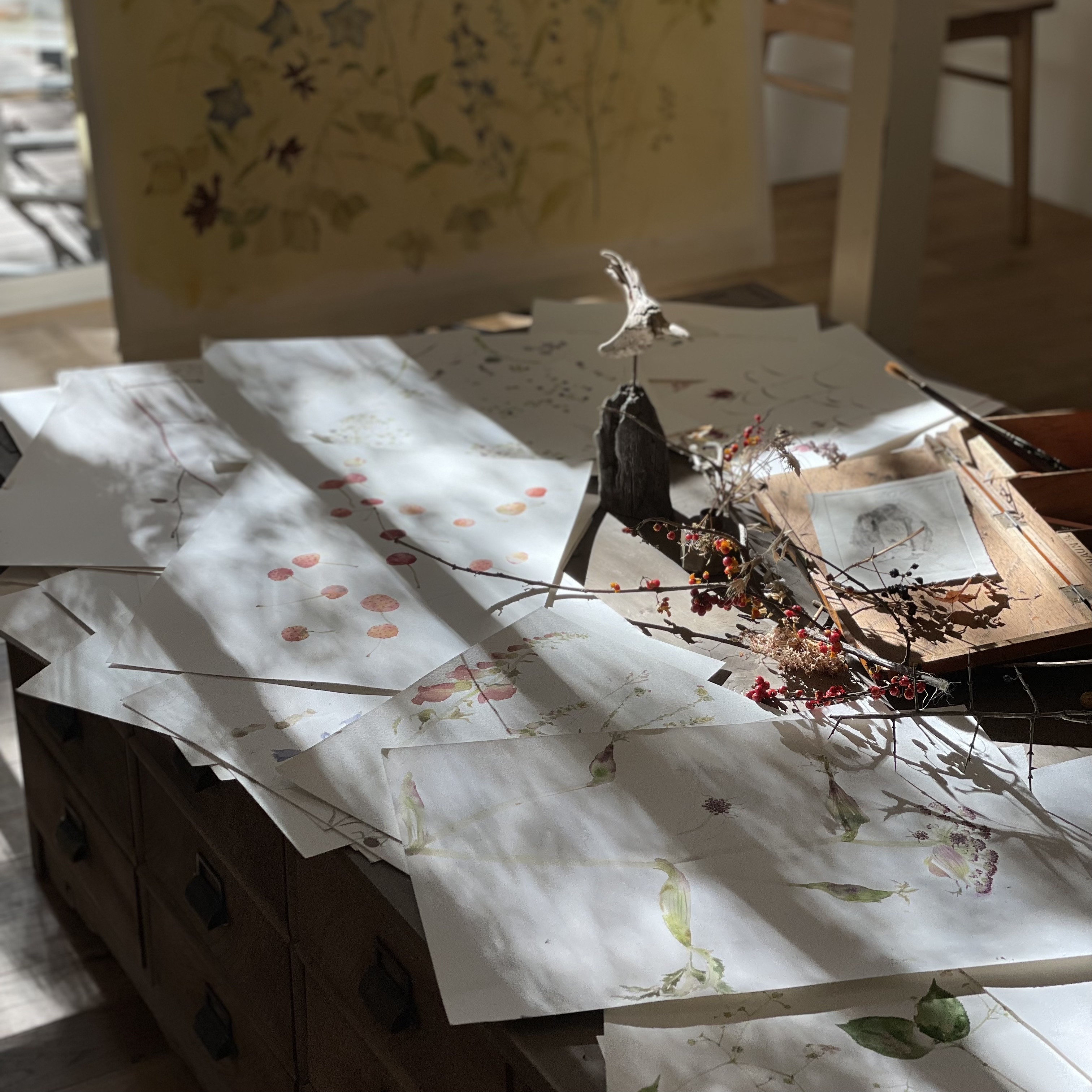 【今井和世 展】終了いたしました