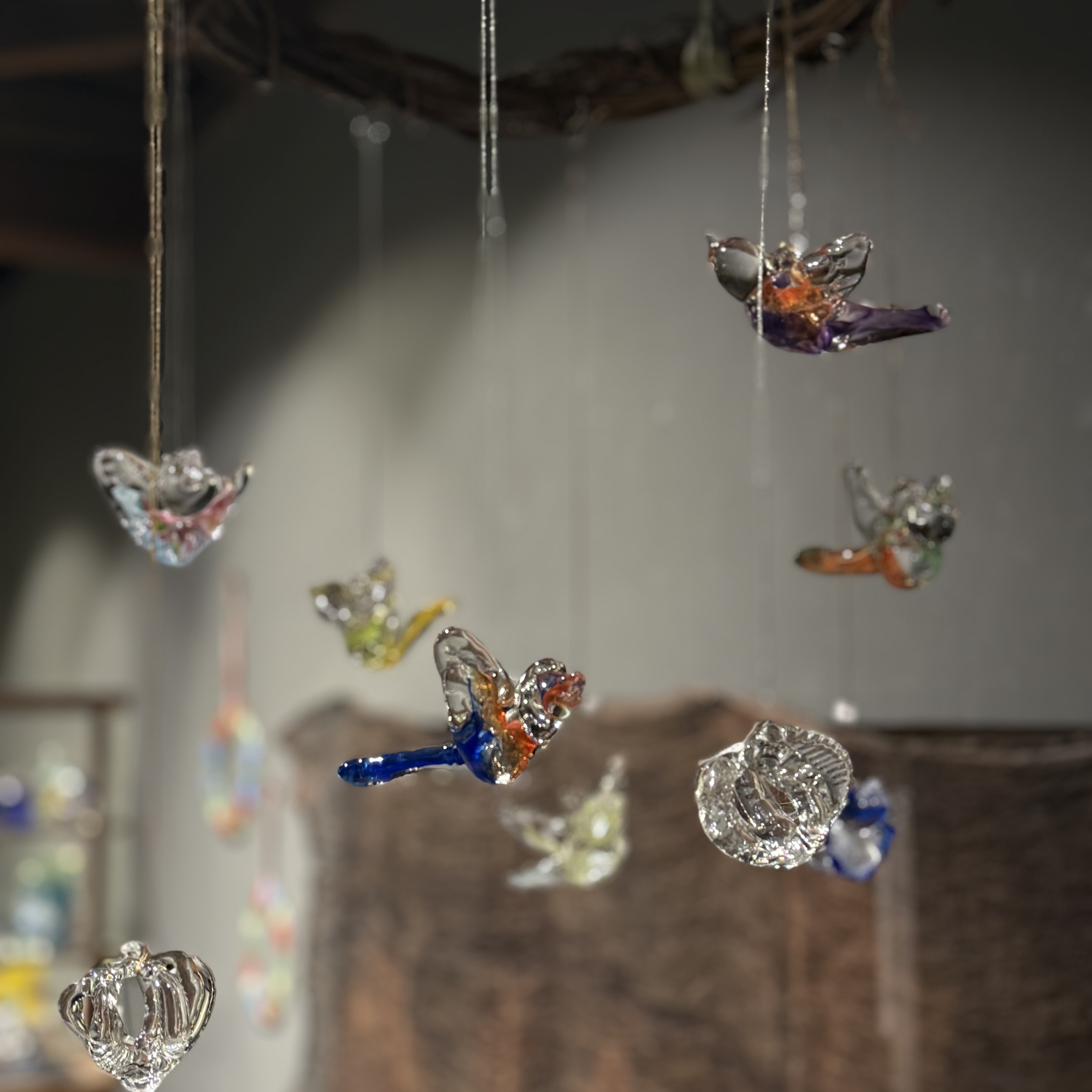 【土井朋子 展】明日から始まります