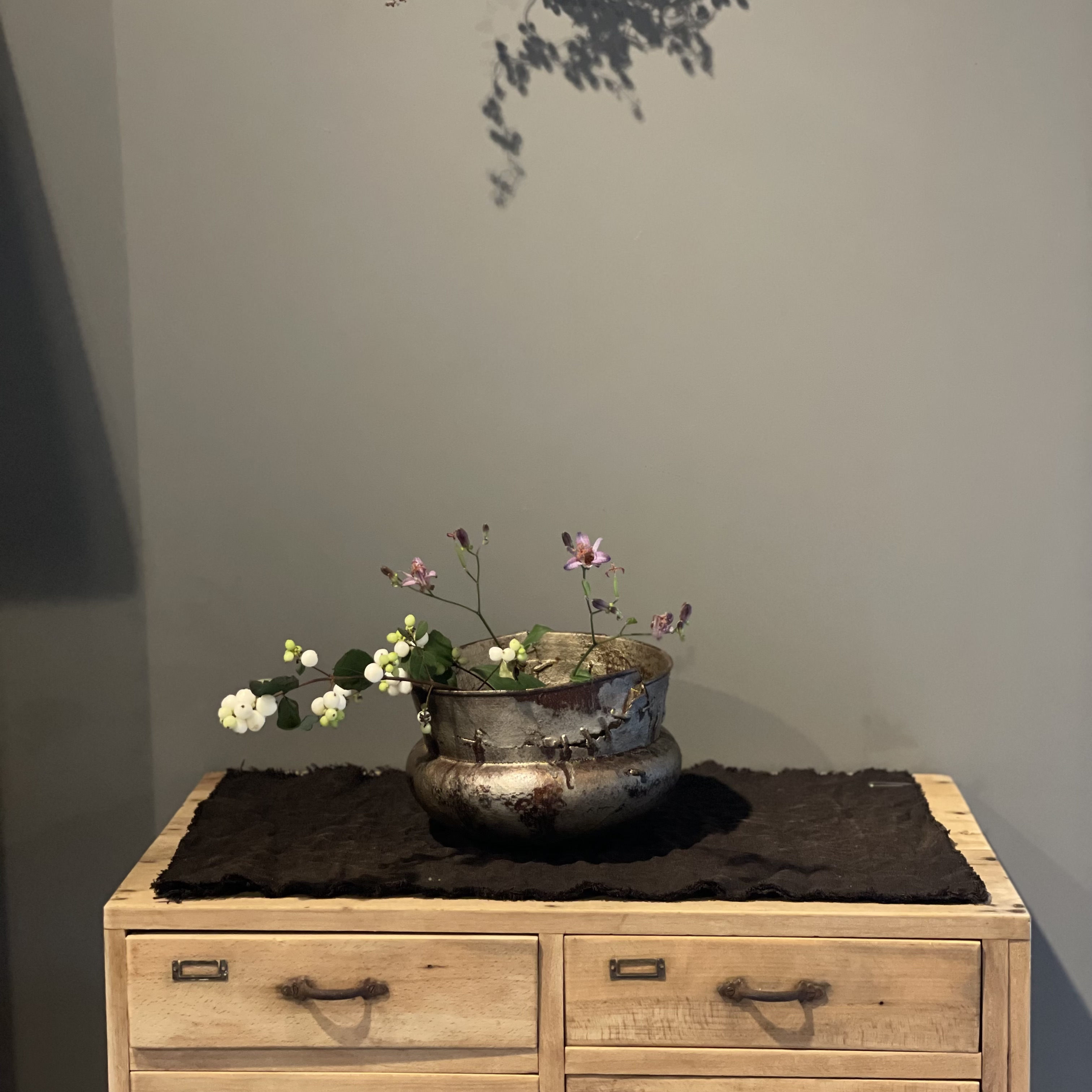 【 田澤祐介 展 】2日目が始まります