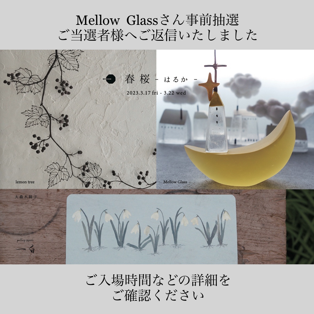 【春桜 - はるか -】 Mellow Glassさん 3/19事前抽選のご返信について