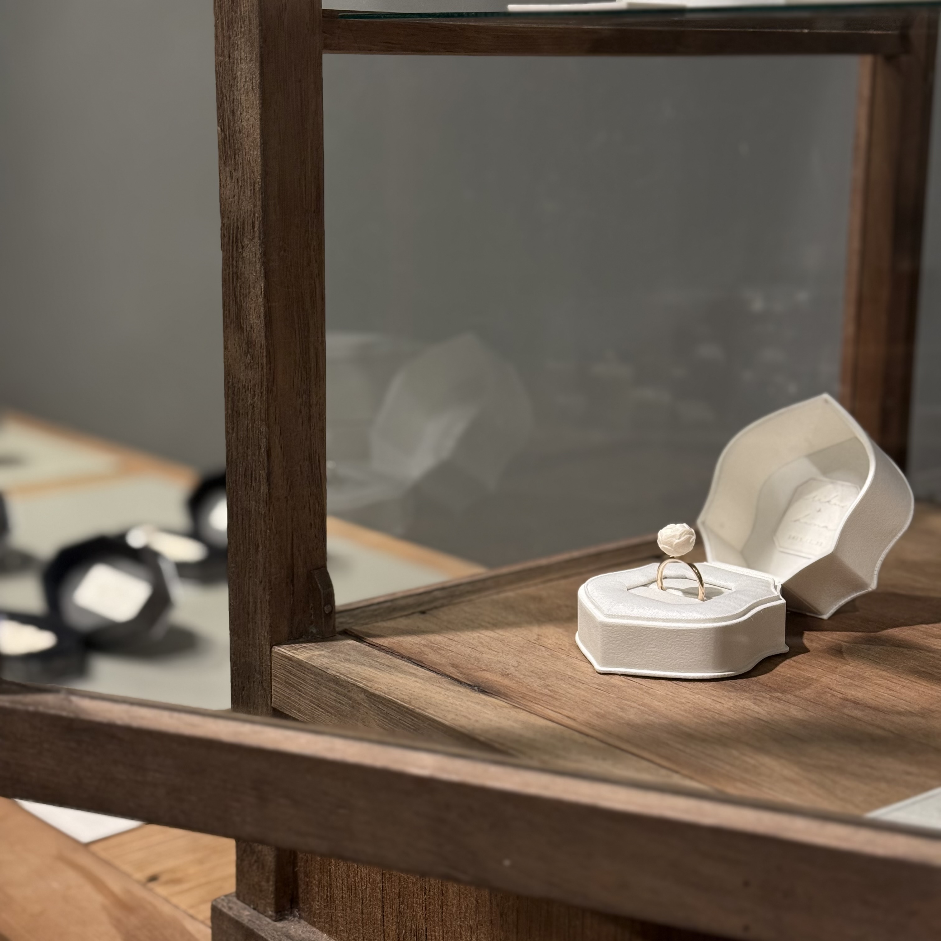 【白日夢】吉田史×ouvrir椎木希望 展 明日から始まります