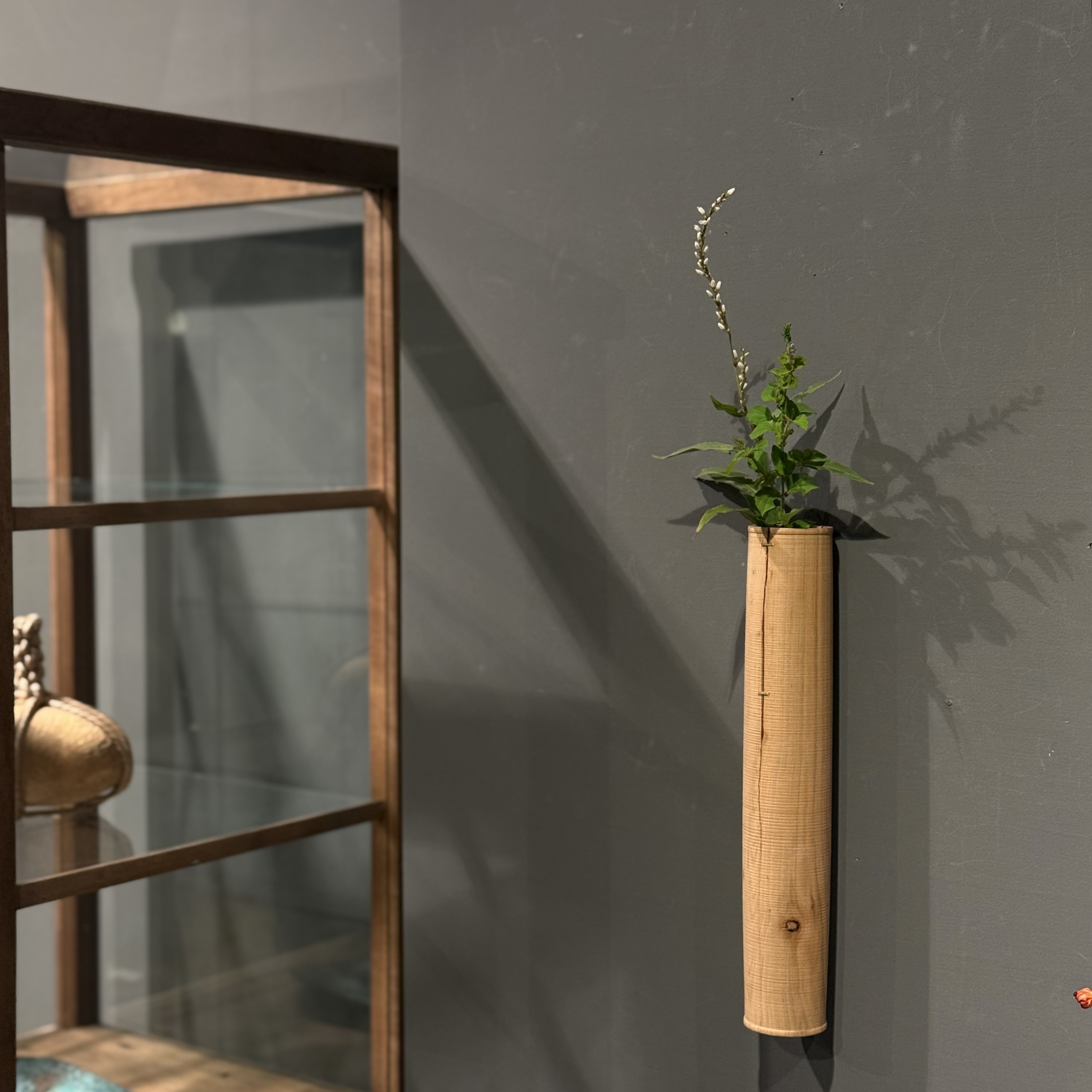 【田澤祐介 展】- 森ヲ想フ - 開催中です